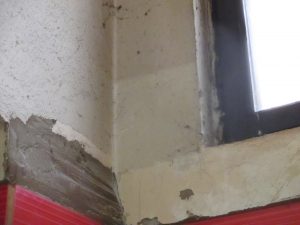 360830_568049_foto_c-_2_