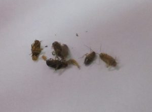 360834_568054_img_1878