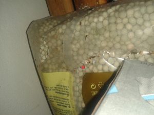 367129_574243_prokousany_pytel_s_hrachem