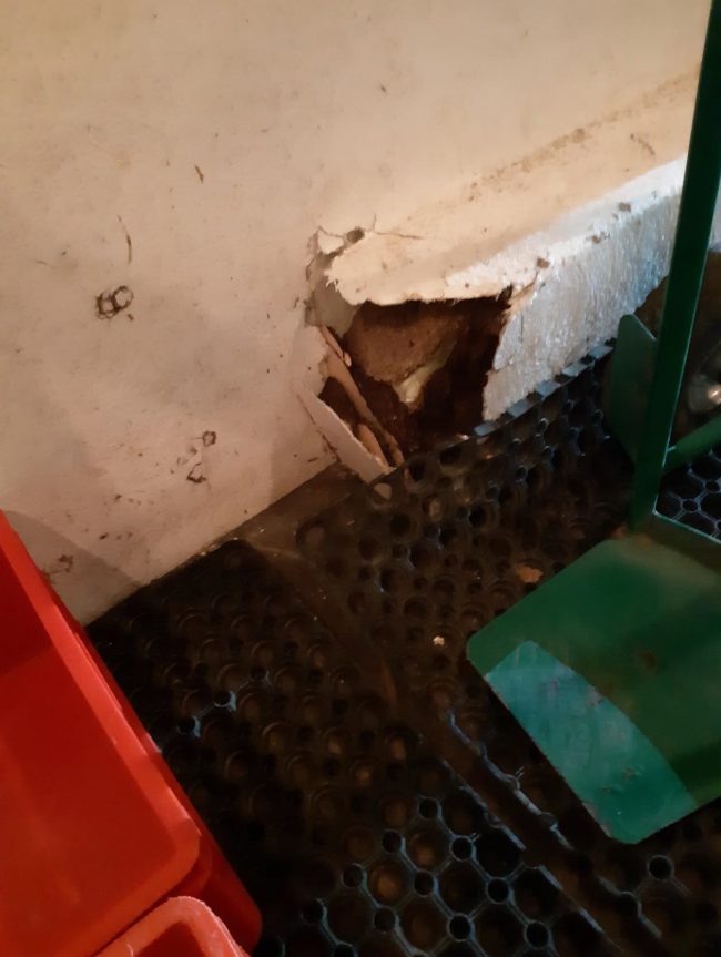 Pohled do vozidla