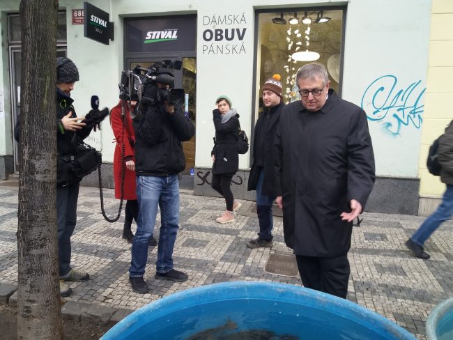 Kontrola kádí s kapry