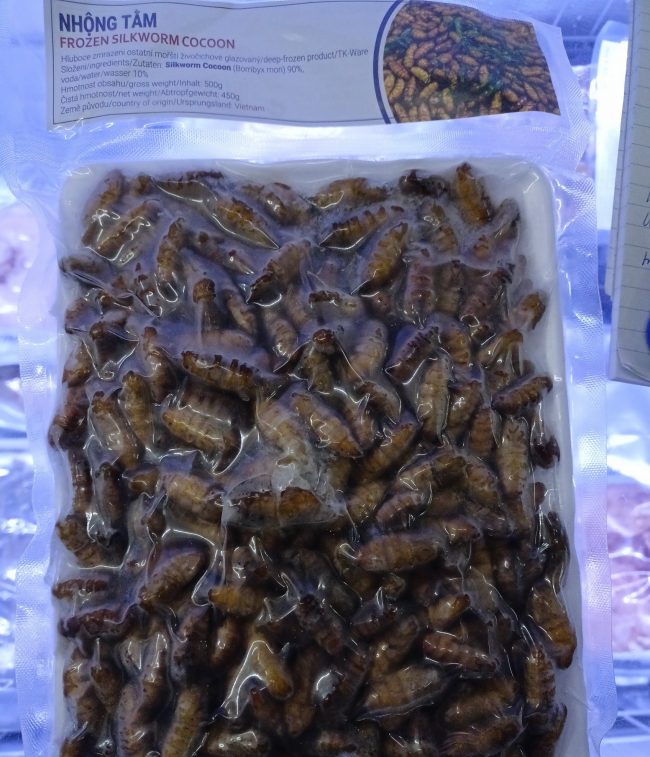 larvy bource morušového