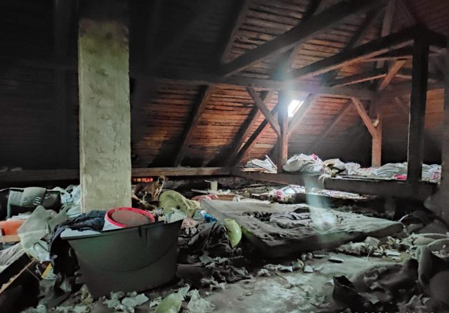 Fena křížence v otřesných podmínkách na půdě