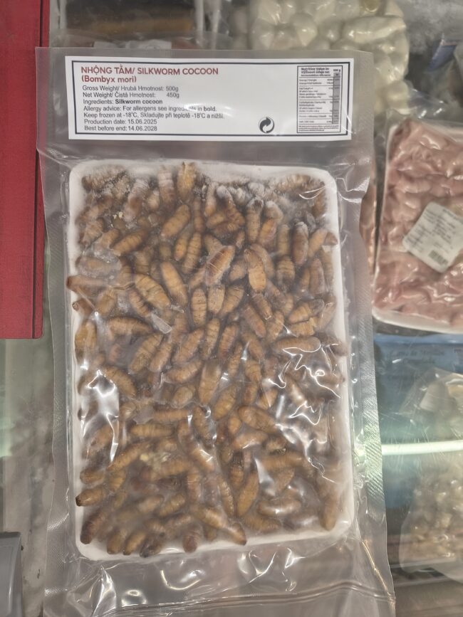 Kukly bource morušového