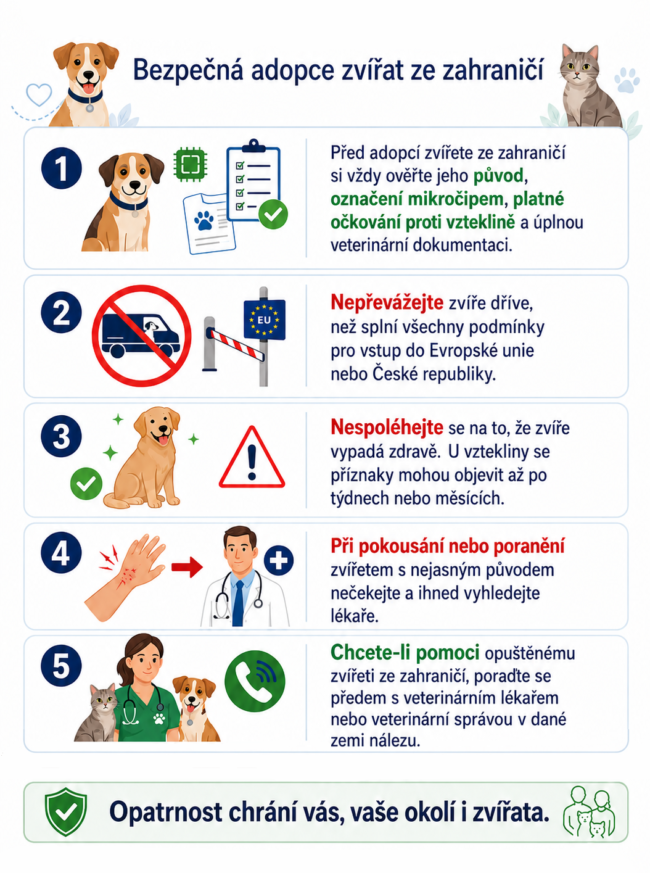Infografika